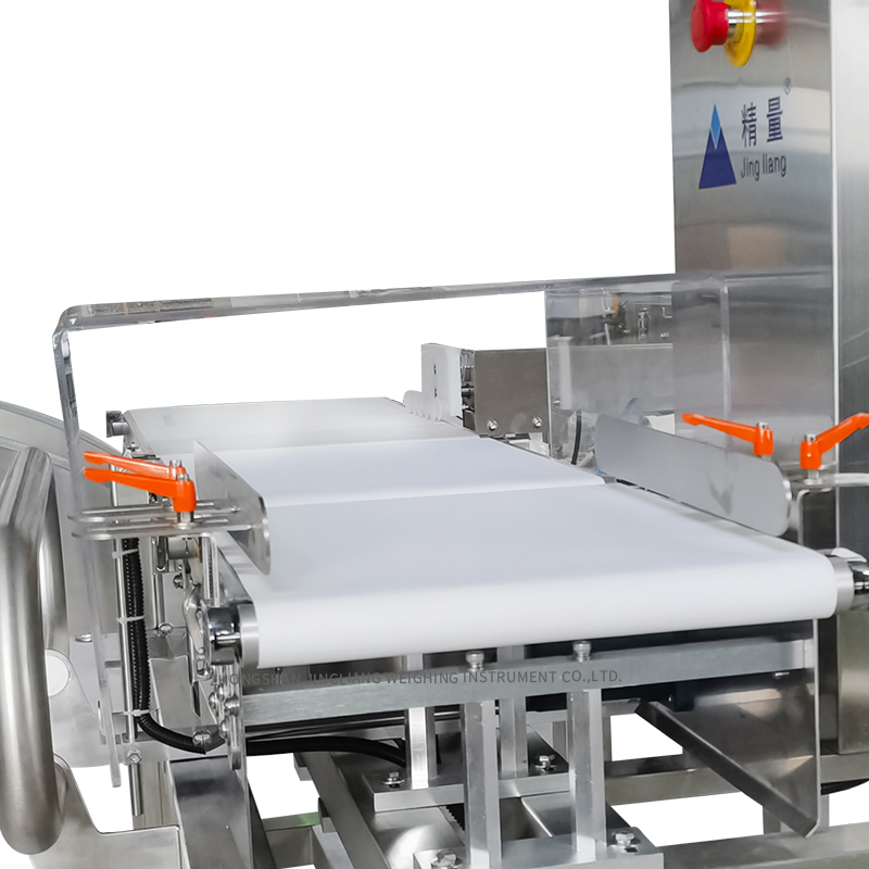 1200g Middle scale check weigher