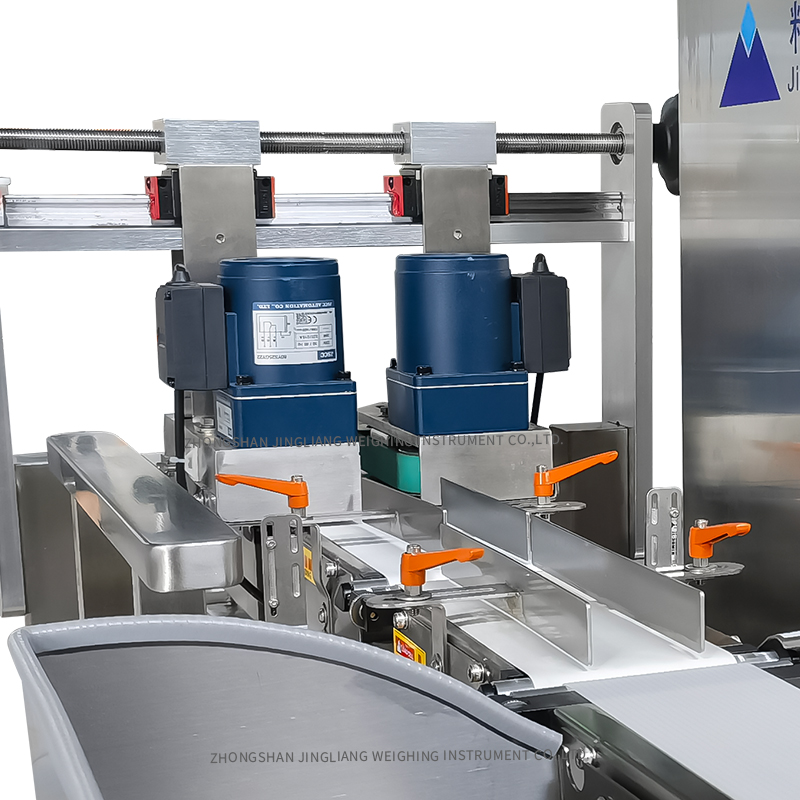 300g High-precision check weighe machine