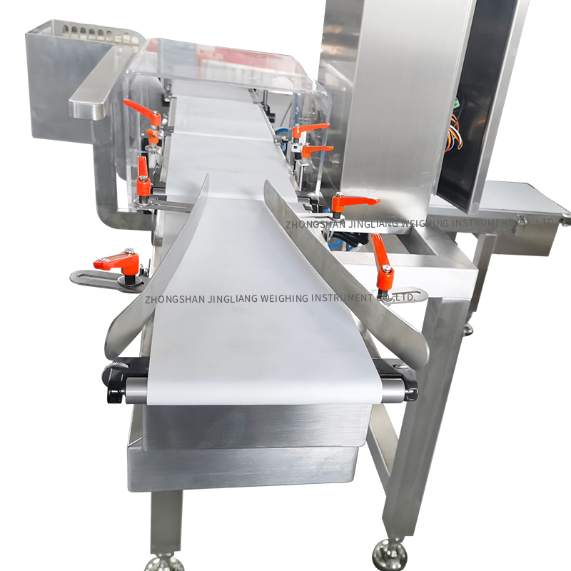 100g Dynamic check weight machine