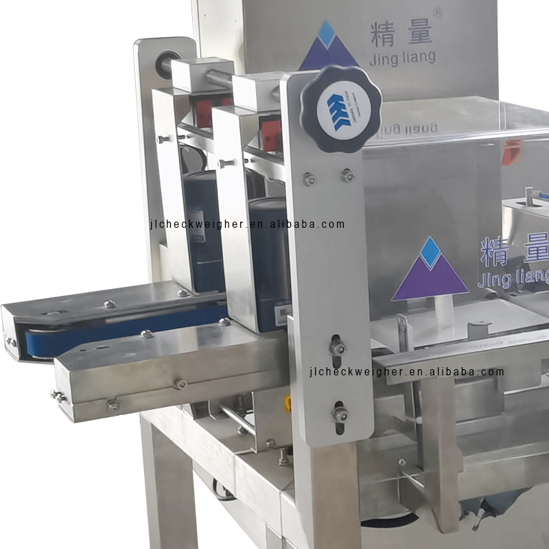 300g Dynamic check weigher