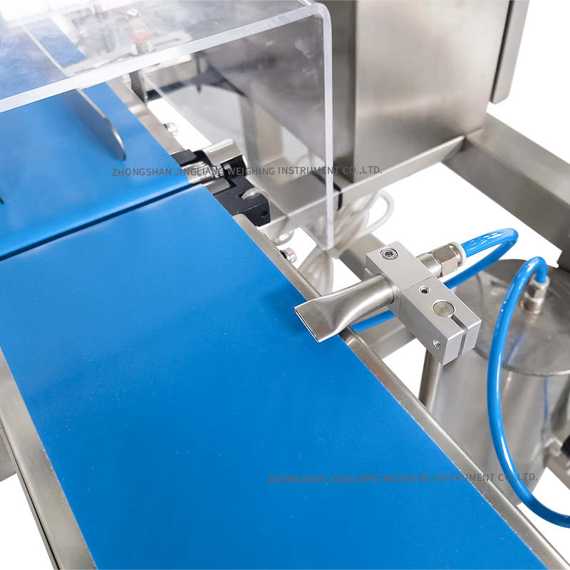 Professional customized automatic checkweigher conveyor belt weighing scale